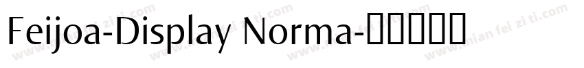 Feijoa-Display Norma字体转换